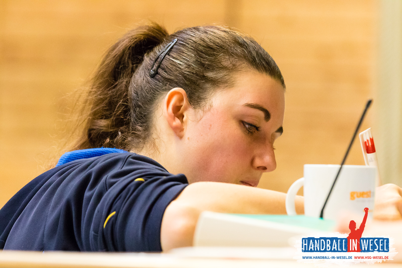 Minispielfest HSG Wesel / November 2017