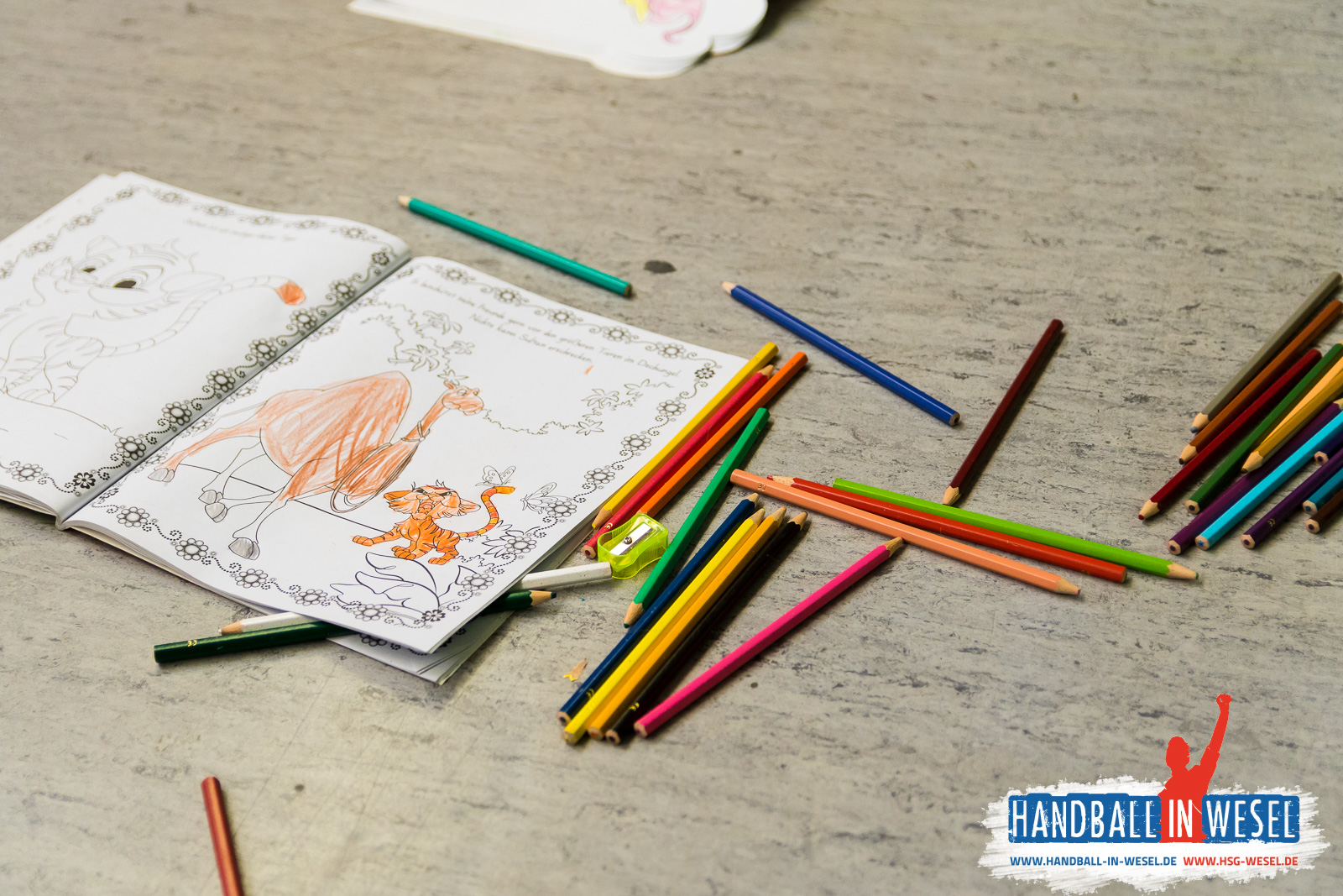 Minispielfest HSG Wesel / November 2017